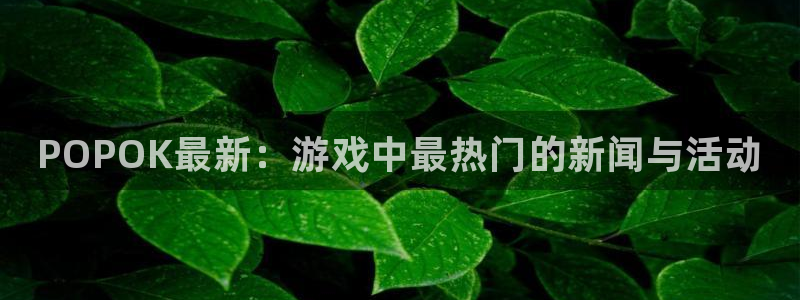 高德娱乐网址注册：POPOK最新：游戏中最热门的新闻与活动