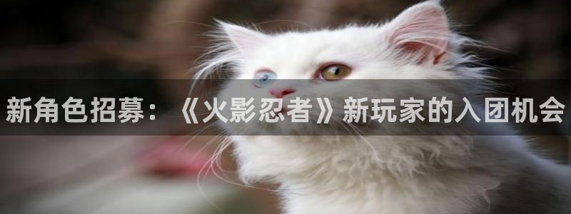 高德娱乐2首页登录：新角色招募：《火影忍者》新玩家的入团机会