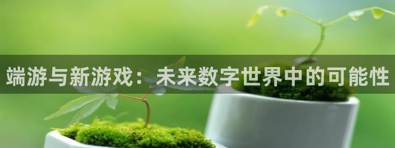 高德娱乐直属：端游与新游戏：未来数字世界中的可能性