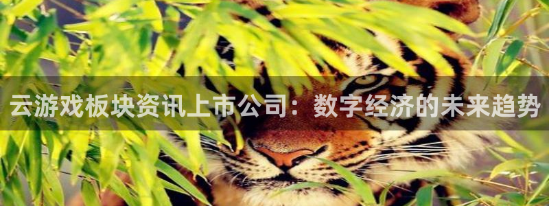 高德娱乐注册登录：云游戏板块资讯上市公司：数字经济的未来趋势