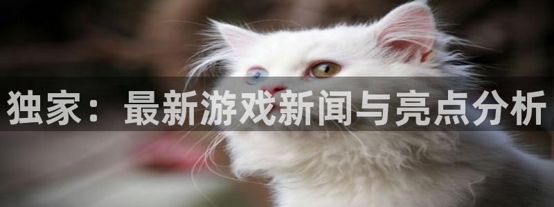 高德娱乐的意思：独家：最新游戏新闻与亮点分析