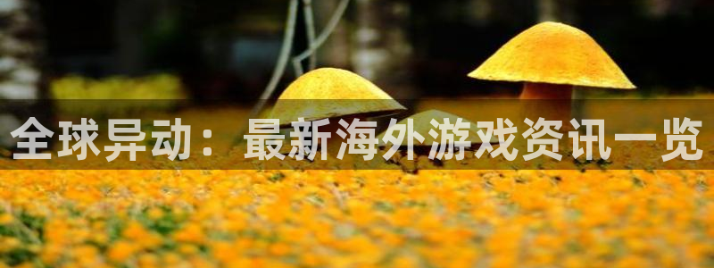 高德娱乐4主管：全球异动：最新海外游戏资讯一览